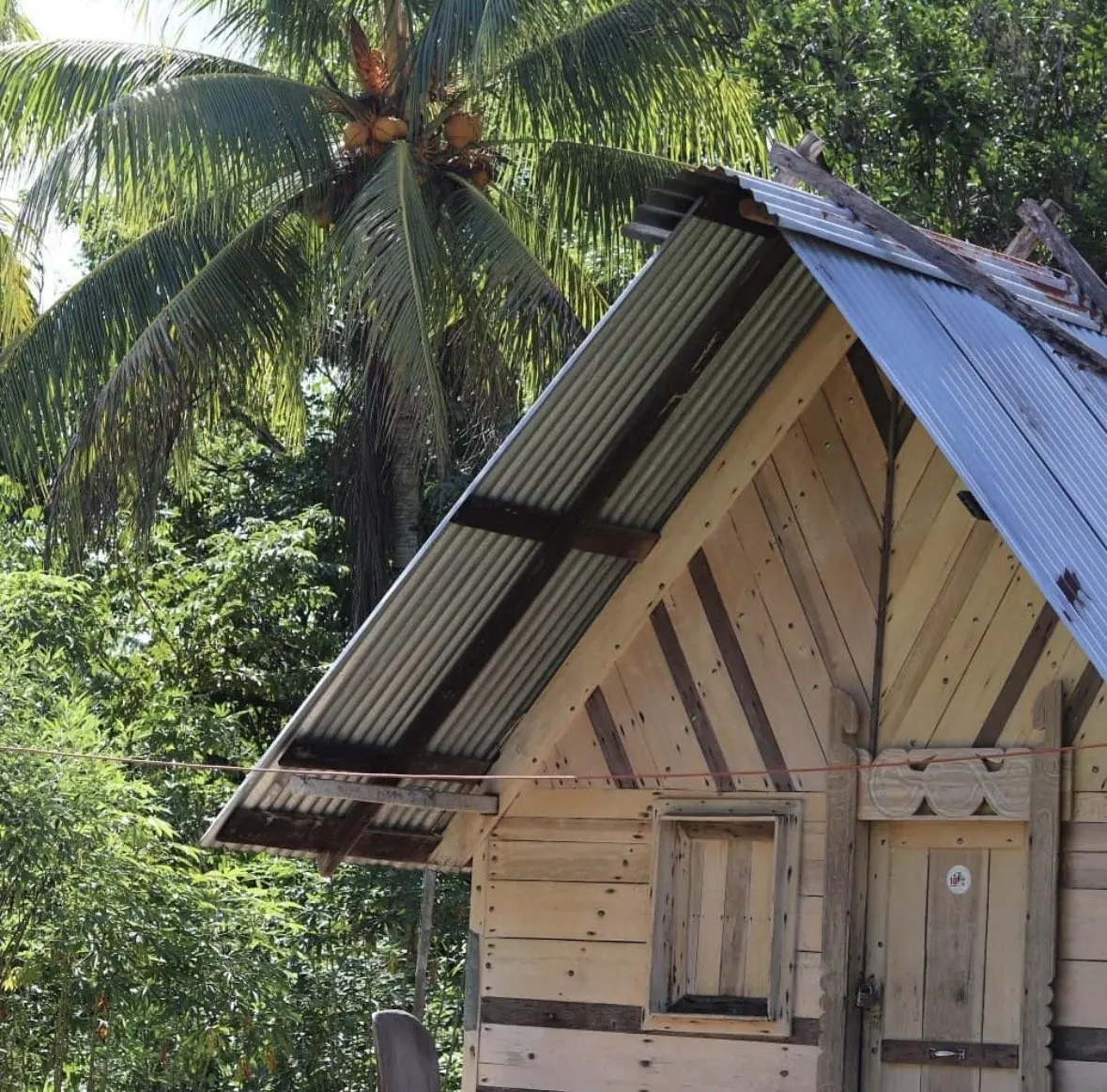 Traditioneel houten huis tussen de palmen, gebouwd met lokale materialen